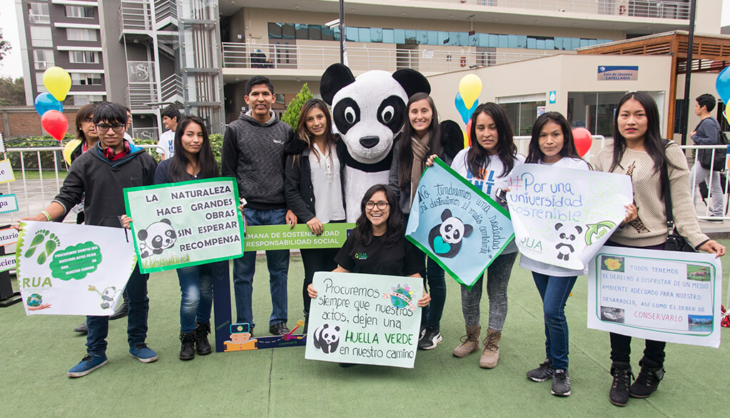 Sustainable Development in Curricular and Extracurricular Education