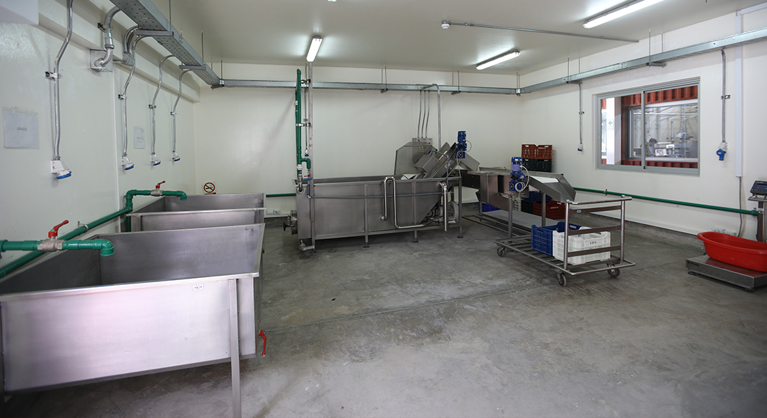 Planta de Ingeniería Agroindustrial de la USIL