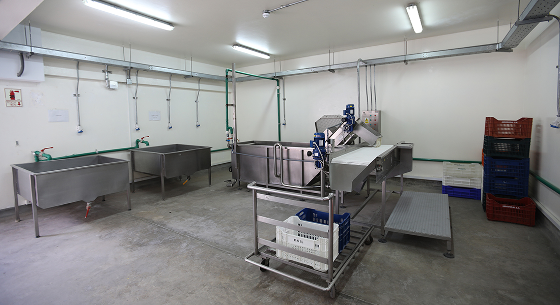 Planta de Ingeniería Agroindustrial de la USIL