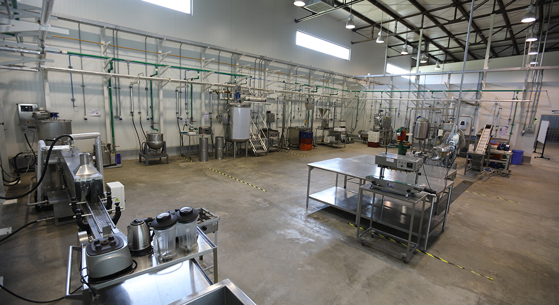 Planta de Ingeniería Agroindustrial de la USIL