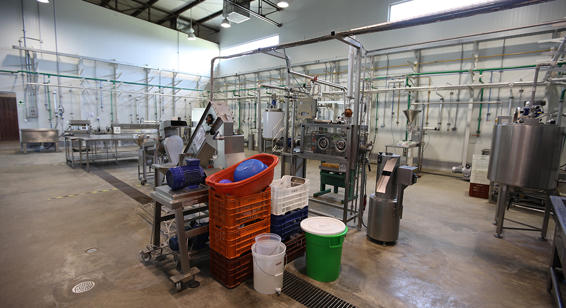 Planta de Ingeniería Agroindustrial de la USIL