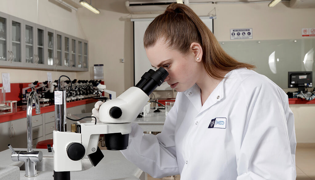 Responsabilidad social universitaria y sostenibilidad