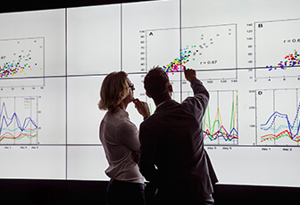 Campo laboral: Realiza, dirige y asesora investigaciones científicas educacionales.