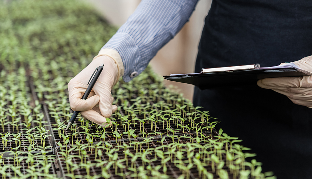Área: Ciencias Agrícolas Sub área: Agricultura y Biotecnología agrícola