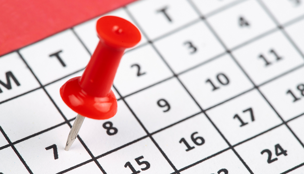 Cronograma de visitas