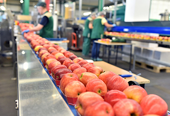 ITP: Instituto Tecnológico de la Producción