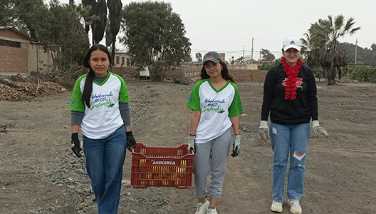 Donación de alimentos a ollas comunes