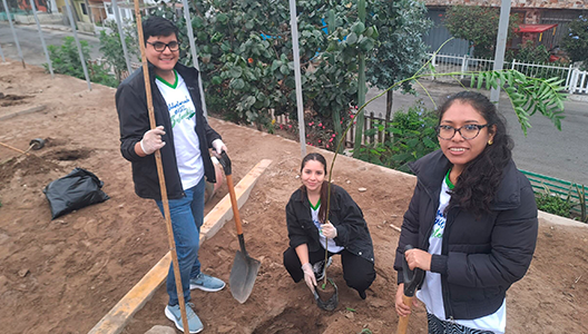 Sembrando árboles en Pachacamac