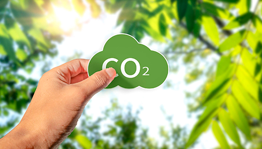 Medición de la huella de carbono en Sostenibilidad USIL