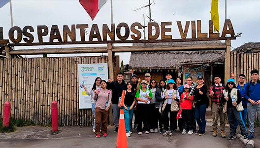 Intervenciones en espacios públicos