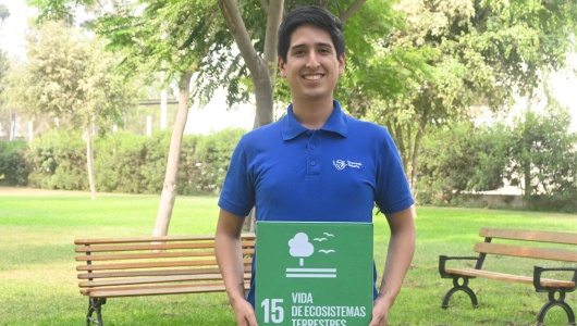 Asistente de programas y proyectos