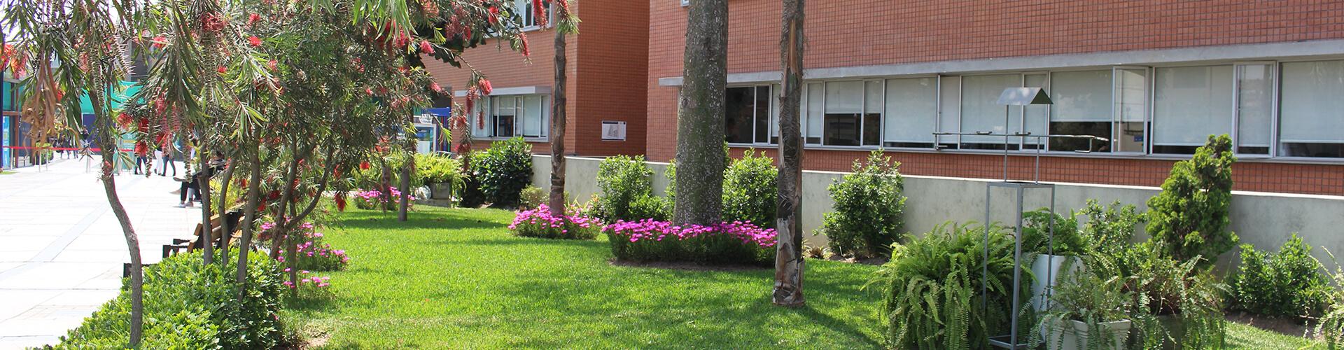 Construcciones sostenibles en USIL