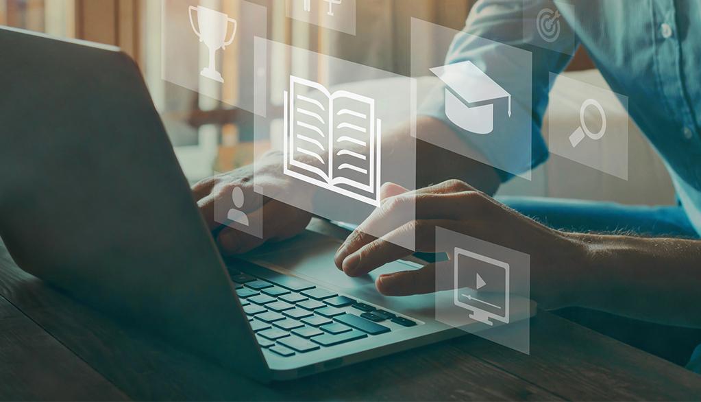 Catálogo y Recursos